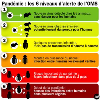 le niveau 6, correspondant à une pandémie mondiale de grippe A , H1N1 déclenché par l'oms